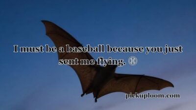Bat Pick Up Lines