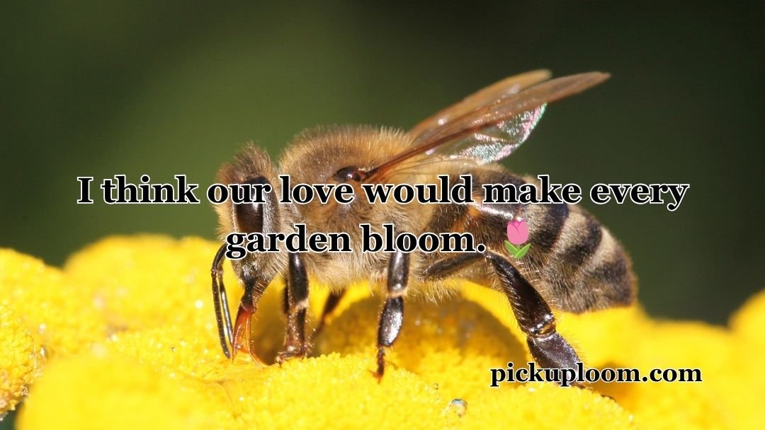 Bee Pick Up Lines