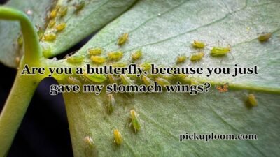 Bug Pick Up Lines