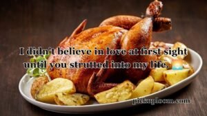 Chicken Pick Up Lines