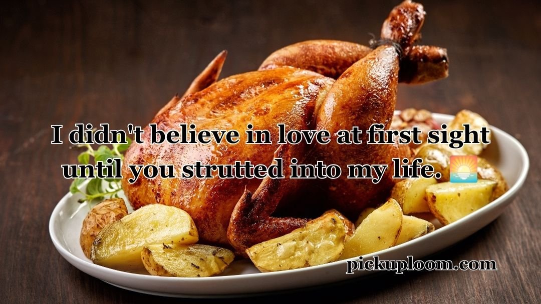 Chicken Pick Up Lines
