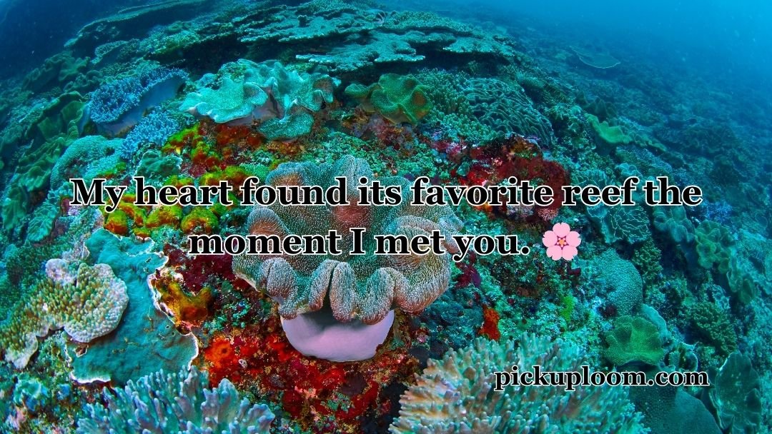 Coral Reef Pick Up Lines