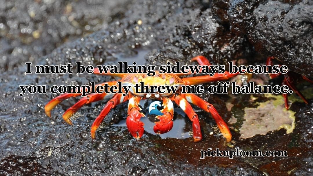 Crab Pick Up Lines