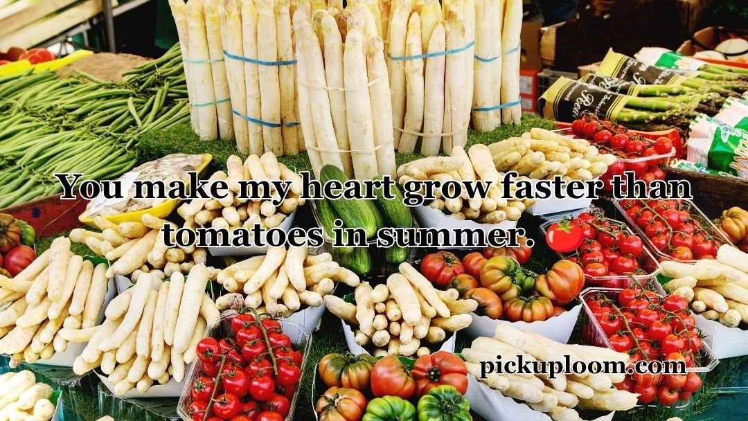 Vegetable Pick Up Lines