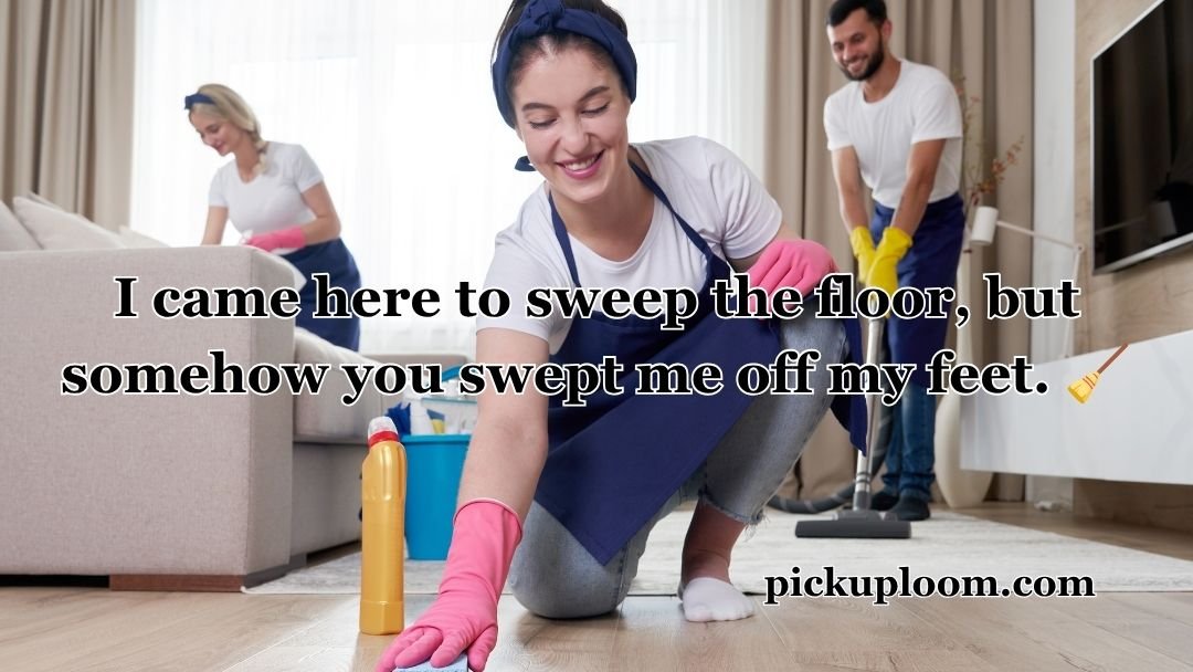 Cleaning Pick Up Lines