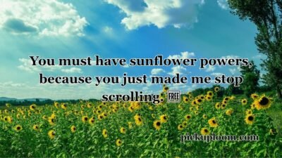 Sunflower Pick Up Lines