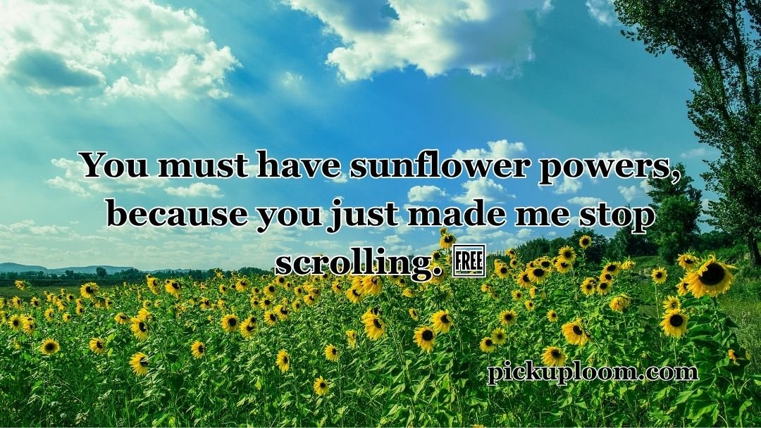 Sunflower Pick Up Lines