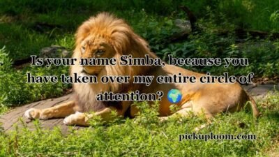 Lion Pick Up Lines