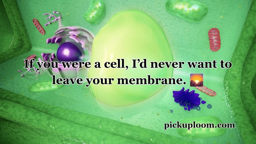 Nucleus Pick Up Lines
