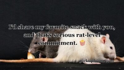 Rat Pick Up Lines