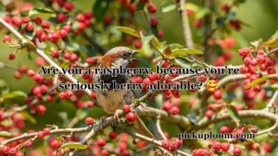Berry Pickup Lines