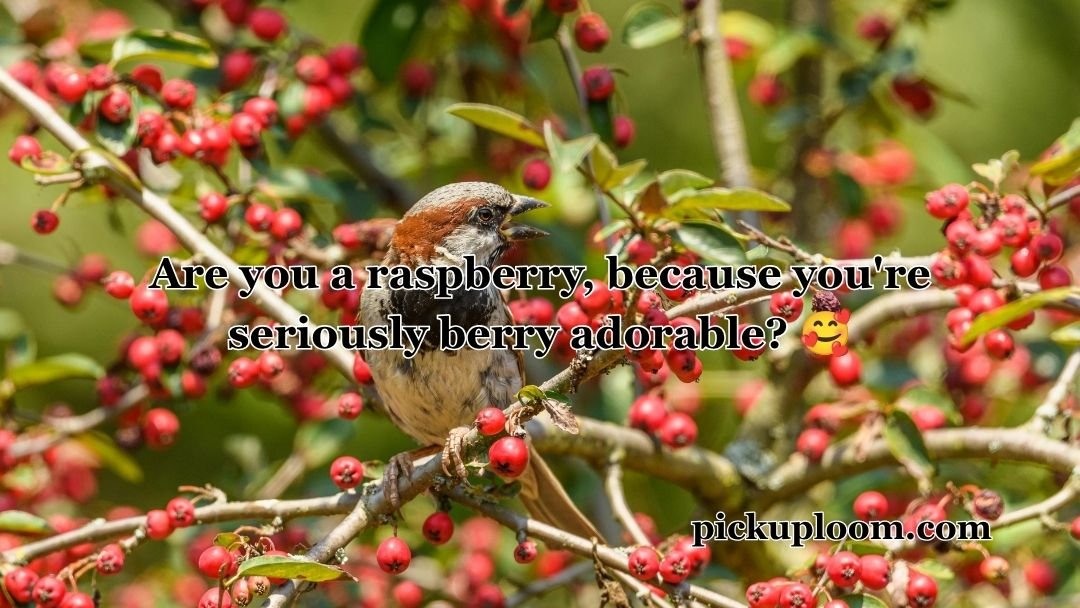 Berry Pickup Lines