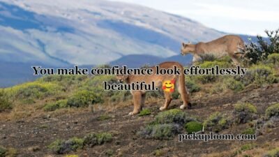 Cougar Pick Up Lines