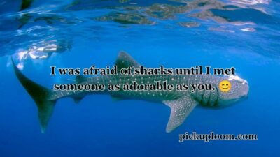 Shark Pick Up Lines