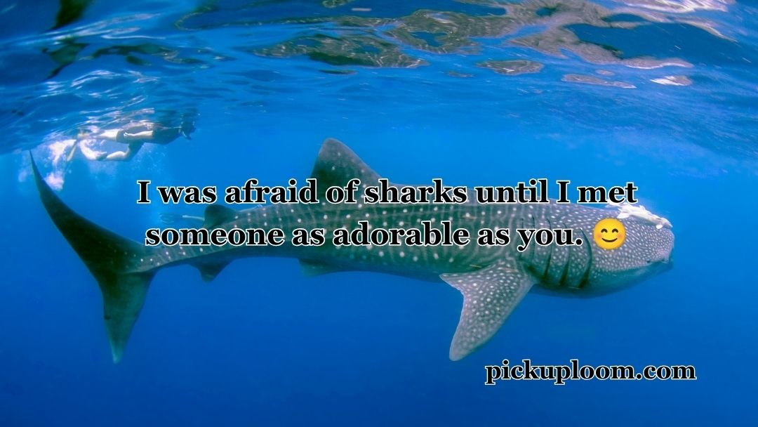 Shark Pick Up Lines