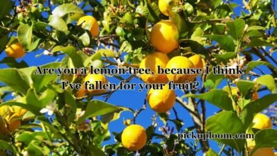 Lemon Pick Up Lines