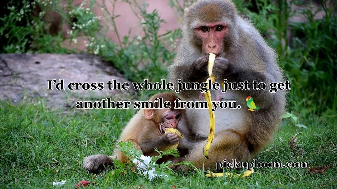 Monkey Pick-Up Lines