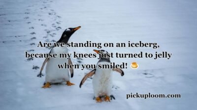 Penguin Pick Up Lines