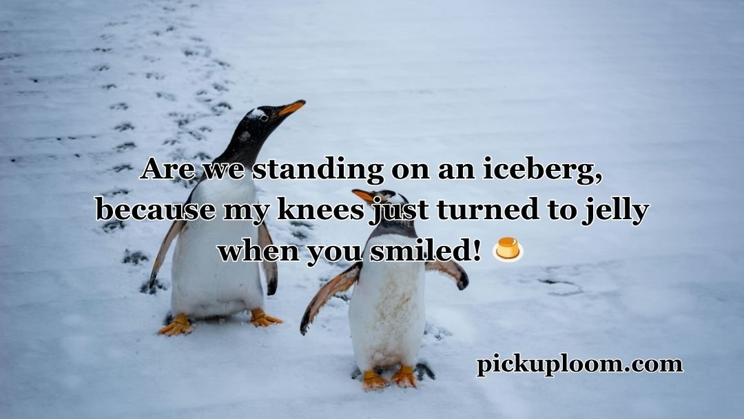 Penguin Pick Up Lines